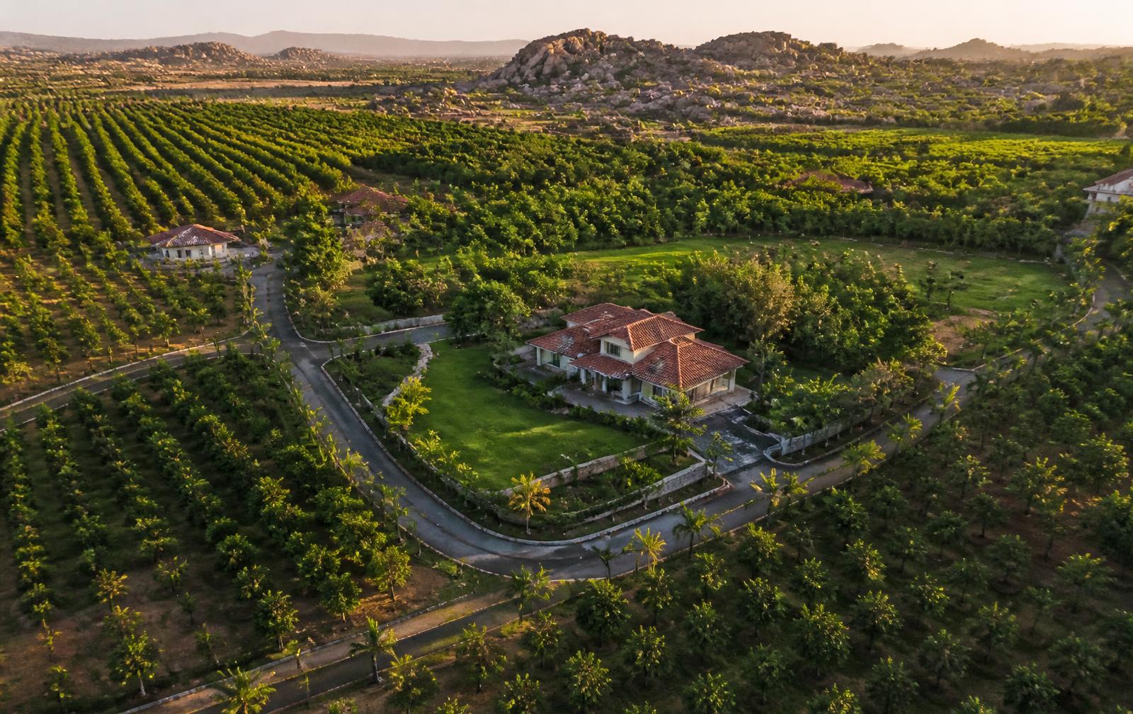 Aerial view of the Project 3 Lepakshi managed farmland estate with mango and sandalwood plantation blocks, internal roads and farmhouse plots